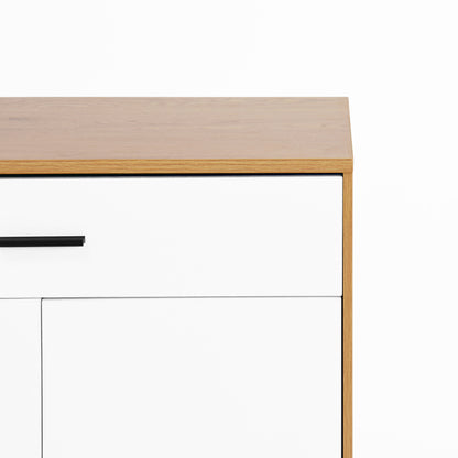 Modern Shoe Cabinet for Entryway with Adjustable Shelves